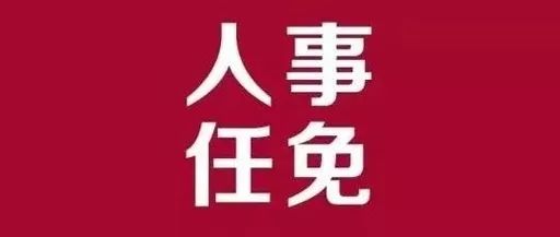 苏尼特左旗审计局人事任命引领审计事业迈上新台阶