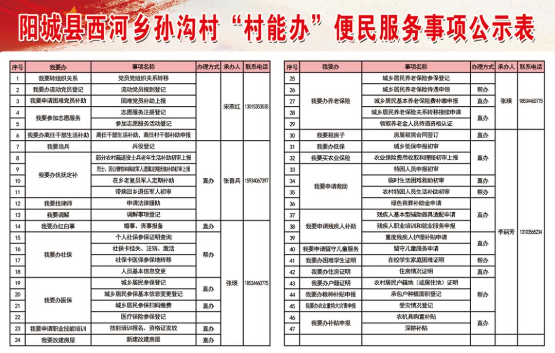 阳城县数据和政务服务局新项目，数字化政务新里程碑启动