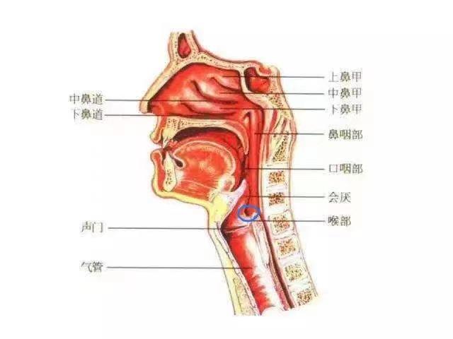 久治县科技局领导团队全新亮相，前瞻领导引领未来