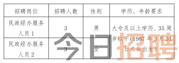 大悟县民政局最新招聘信息全面解析