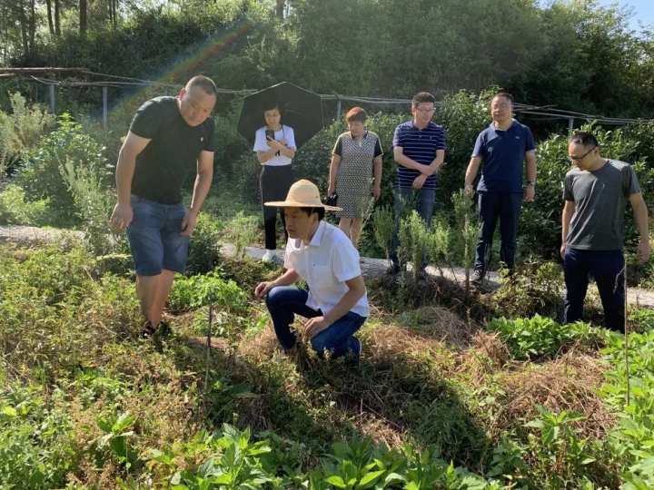 资溪县农业农村局新项目推动农业现代化助力乡村振兴