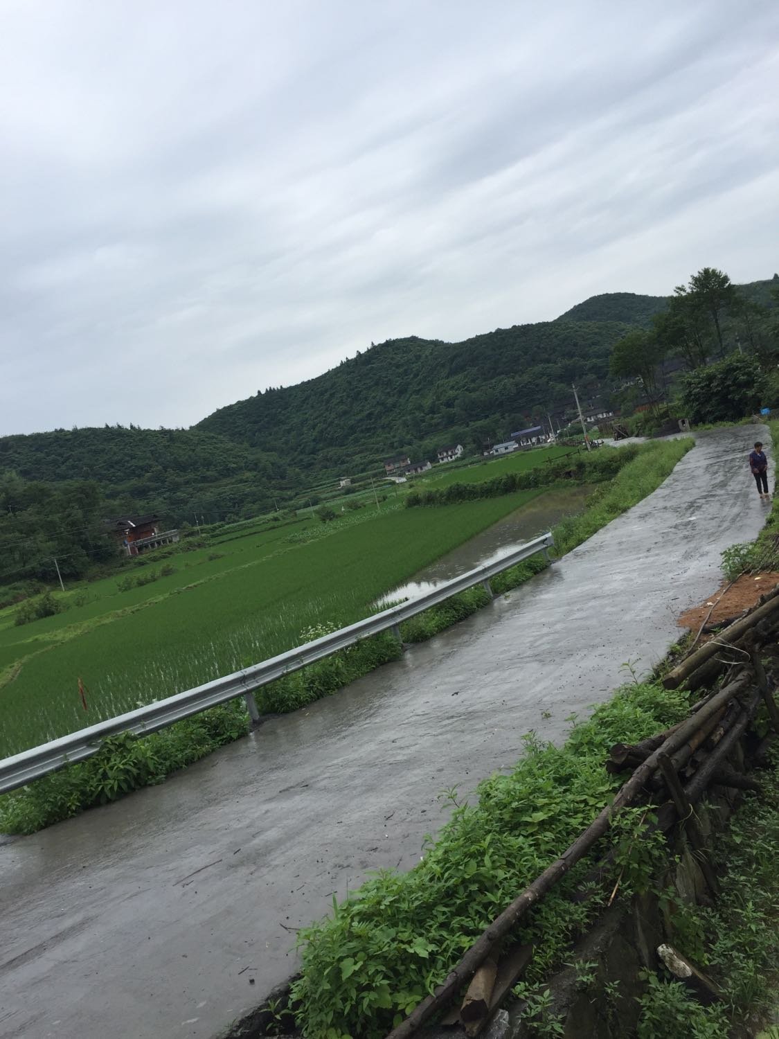 亚云村天气预报更新通知