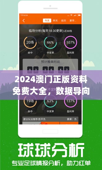 2024澳门精准正版图库,高度协调策略执行_豪华款53.395