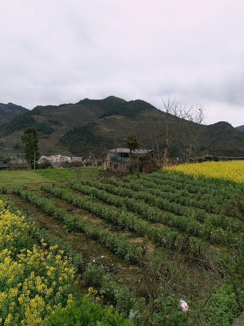 雅宁曲龙村天气预报更新通知