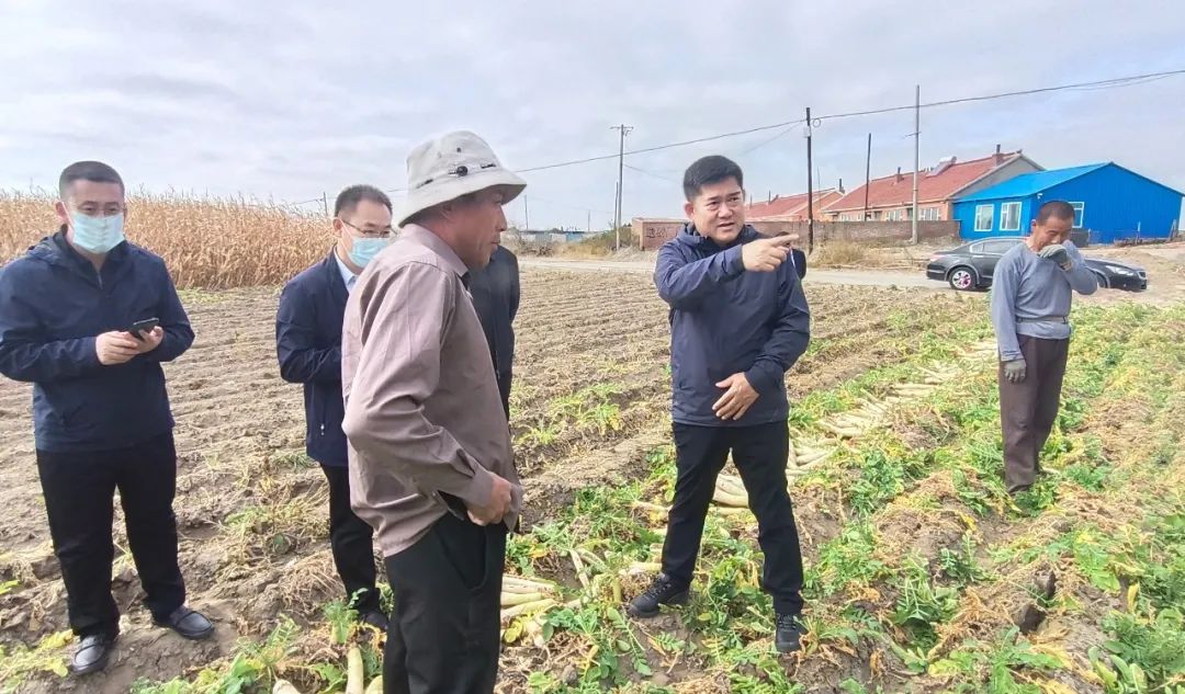 长岛县农业农村局领导团队引领农业新发展篇章