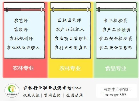 2024新瑰精准正版资料,高效计划实施解析_战略版42.405