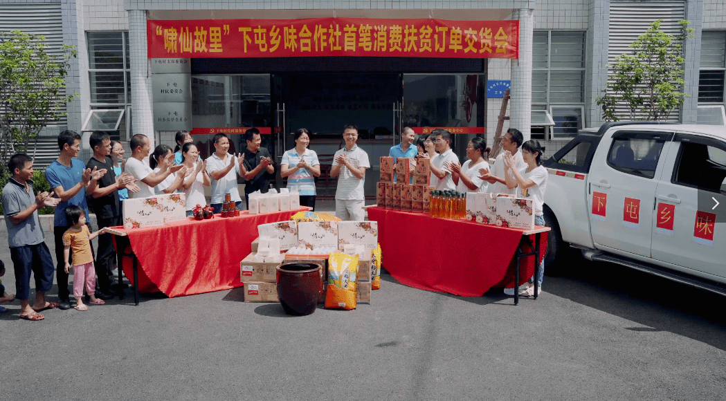 金明区审计局最新项目，面对挑战与机遇的审计工作展望