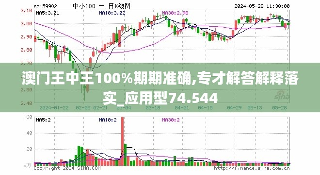 2024澳门王中王100%期期中,经济性执行方案剖析_旗舰版3.639