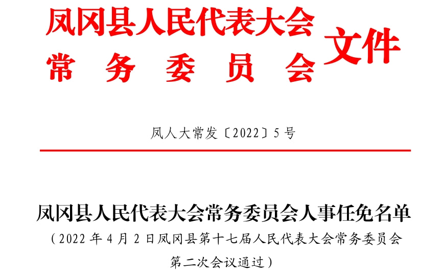 武冈市文化局人事任命动态与未来展望