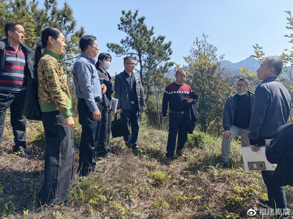 长汀县农业农村局最新动态报道