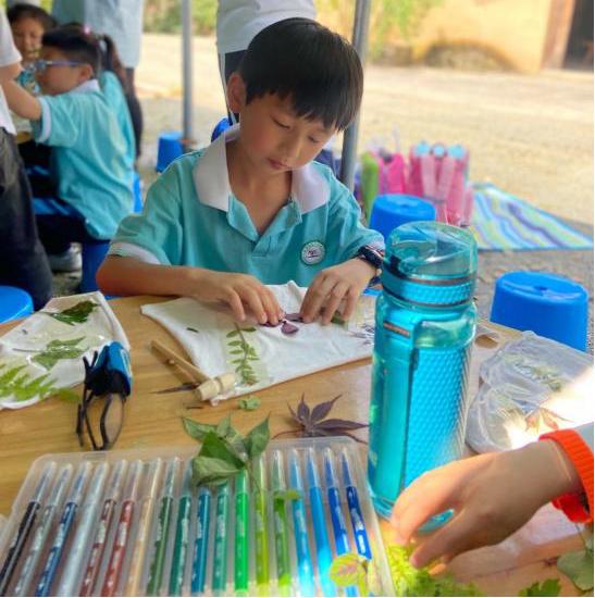 岳麓区小学最新项目，开启现代教育新篇章探索