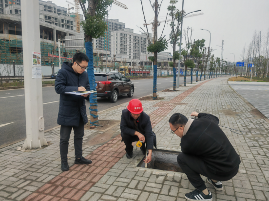 铜陵县审计局最新项目概览