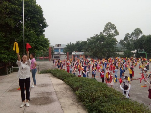 五通桥区小学最新项目，迈向未来的教育革新之旅